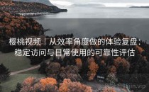 樱桃视频｜从效率角度做的体验复盘：稳定访问与日常使用的可靠性评估