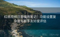 红桃视频日常使用笔记：功能设置复杂度与新手友好度评估
