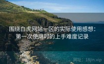 围绕白虎网站一区的实际使用感想：第一次使用时的上手难度记录