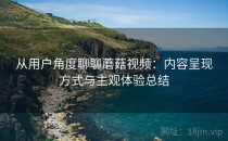 从用户角度聊聊蘑菇视频：内容呈现方式与主观体验总结
