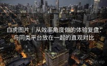 白虎图片｜从效率角度做的体验复盘：与同类平台放在一起的直观对比