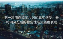 第一次用白虎图片时的真实感受：长时间浏览后的稳定性与流畅度表现
