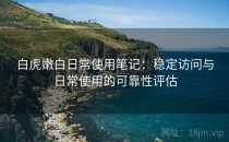白虎嫩白日常使用笔记：稳定访问与日常使用的可靠性评估