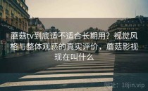 蘑菇tv到底适不适合长期用？视觉风格与整体观感的真实评价，蘑菇影视现在叫什么