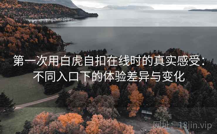 第一次用白虎自扣在线时的真实感受：不同入口下的体验差异与变化  第2张
