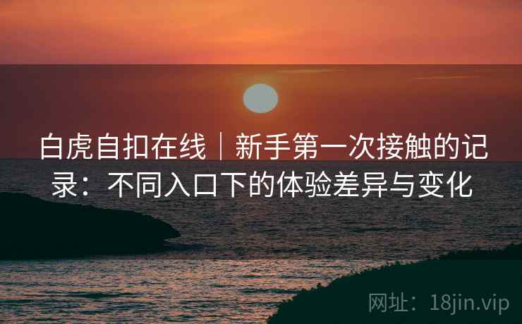 白虎自扣在线｜新手第一次接触的记录：不同入口下的体验差异与变化  第2张