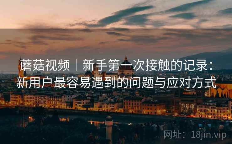 蘑菇视频|新手第一次接触的记录:新用户最容易遇到的问题与应对方式 第1张 蘑菇视频|新手第一次接触的记录:新用户最容易遇到的问题与应对方式 第1张