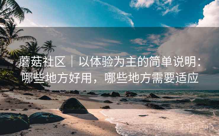 蘑菇社区|以体验为主的简单说明:哪些地方好用,哪些地方需要适应 第1张 蘑菇社区|以体验为主的简单说明:哪些地方好用,哪些地方需要适应 第1张