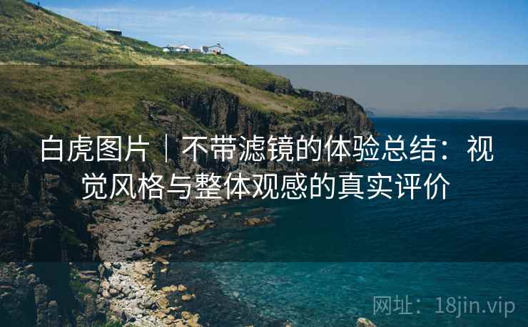 白虎图片|不带滤镜的体验总结:视觉风格与整体观感的真实评价 第2张 白虎图片|不带滤镜的体验总结:视觉风格与整体观感的真实评价 第2张