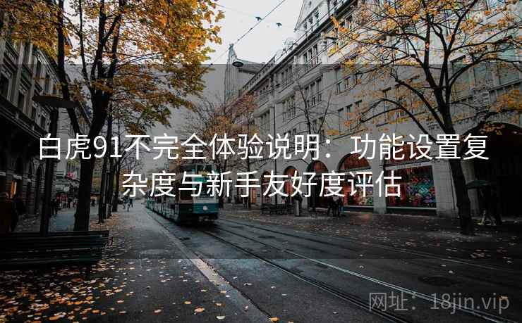 白虎91不完全体验说明:功能设置复杂度与新手友好度评估 第1张 白虎91不完全体验说明:功能设置复杂度与新手友好度评估 第1张