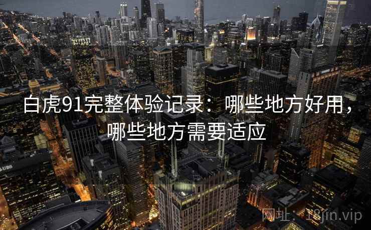 白虎91完整体验记录:哪些地方好用,哪些地方需要适应 第2张 白虎91完整体验记录:哪些地方好用,哪些地方需要适应 第2张