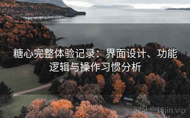 糖心完整体验记录:界面设计、功能逻辑与操作习惯分析 第2张 糖心完整体验记录:界面设计、功能逻辑与操作习惯分析 第2张