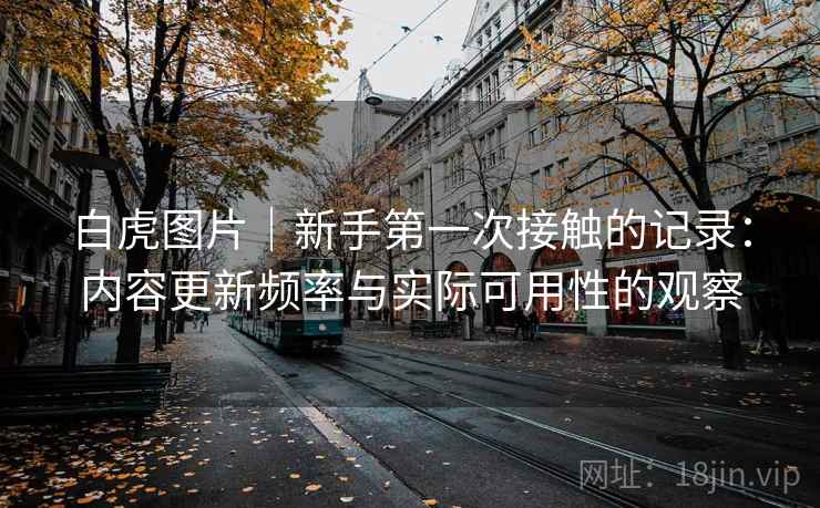 白虎图片|新手第一次接触的记录:内容更新频率与实际可用性的观察 第2张 白虎图片|新手第一次接触的记录:内容更新频率与实际可用性的观察 第2张