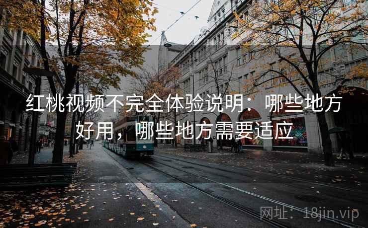 红桃视频不完全体验说明:哪些地方好用,哪些地方需要适应 第2张 红桃视频不完全体验说明:哪些地方好用,哪些地方需要适应 第2张