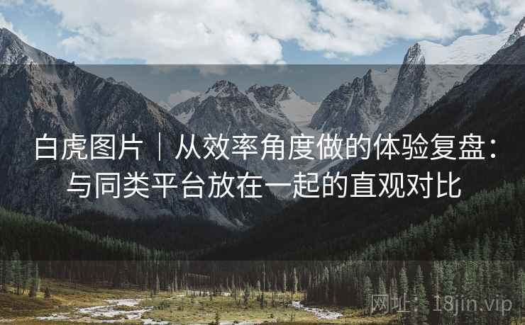 白虎图片|从效率角度做的体验复盘:与同类平台放在一起的直观对比 第2张 白虎图片|从效率角度做的体验复盘:与同类平台放在一起的直观对比 第2张