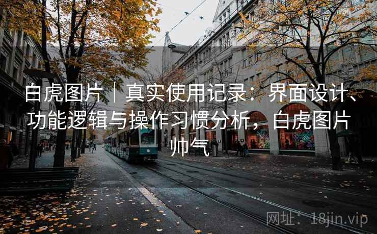 白虎图片|真实使用记录:界面设计、功能逻辑与操作习惯分析,白虎图片帅气 第1张 白虎图片|真实使用记录:界面设计、功能逻辑与操作习惯分析,白虎图片帅气 第1张