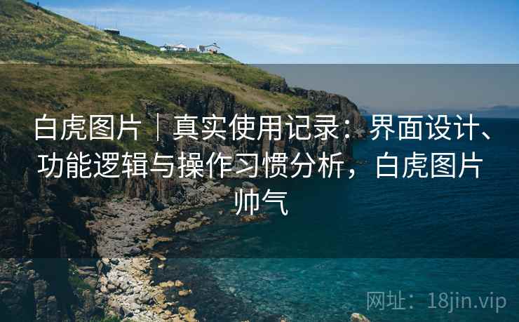 白虎图片|真实使用记录:界面设计、功能逻辑与操作习惯分析,白虎图片帅气 第2张 白虎图片|真实使用记录:界面设计、功能逻辑与操作习惯分析,白虎图片帅气 第2张