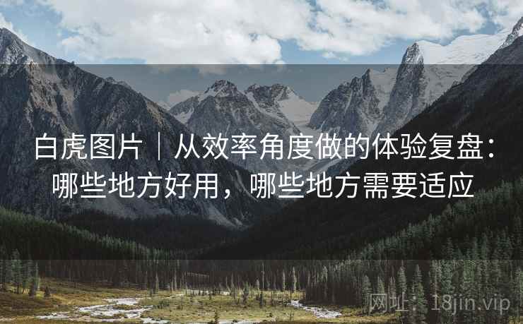 白虎图片|从效率角度做的体验复盘:哪些地方好用,哪些地方需要适应 第1张 白虎图片|从效率角度做的体验复盘:哪些地方好用,哪些地方需要适应 第1张